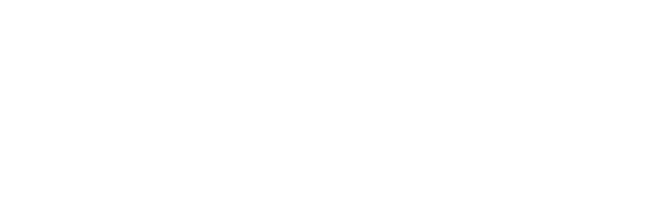Amentum